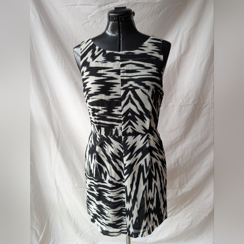 Black & White Dress